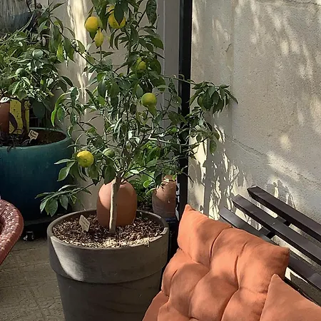 D'hotes Lo Componairo Bed and Breakfast Pouzols